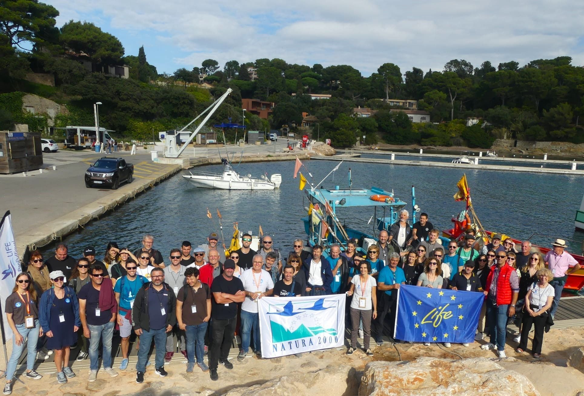 Buscan soluciones a la captura accidental de aves marinas